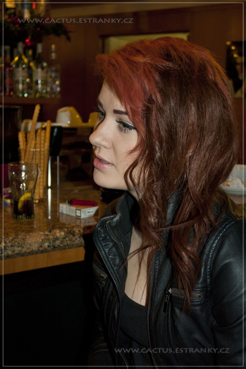 Silvestr_009