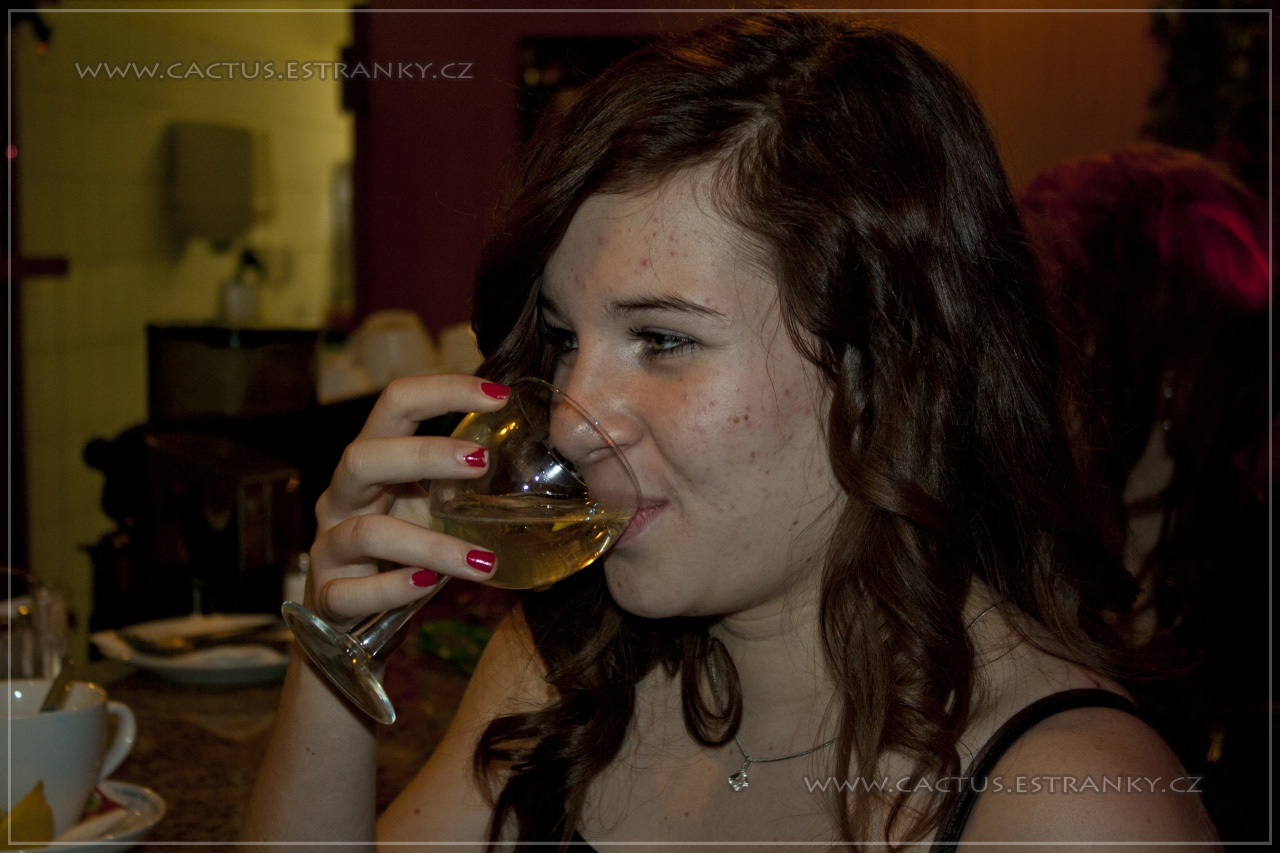 Silvestr_011