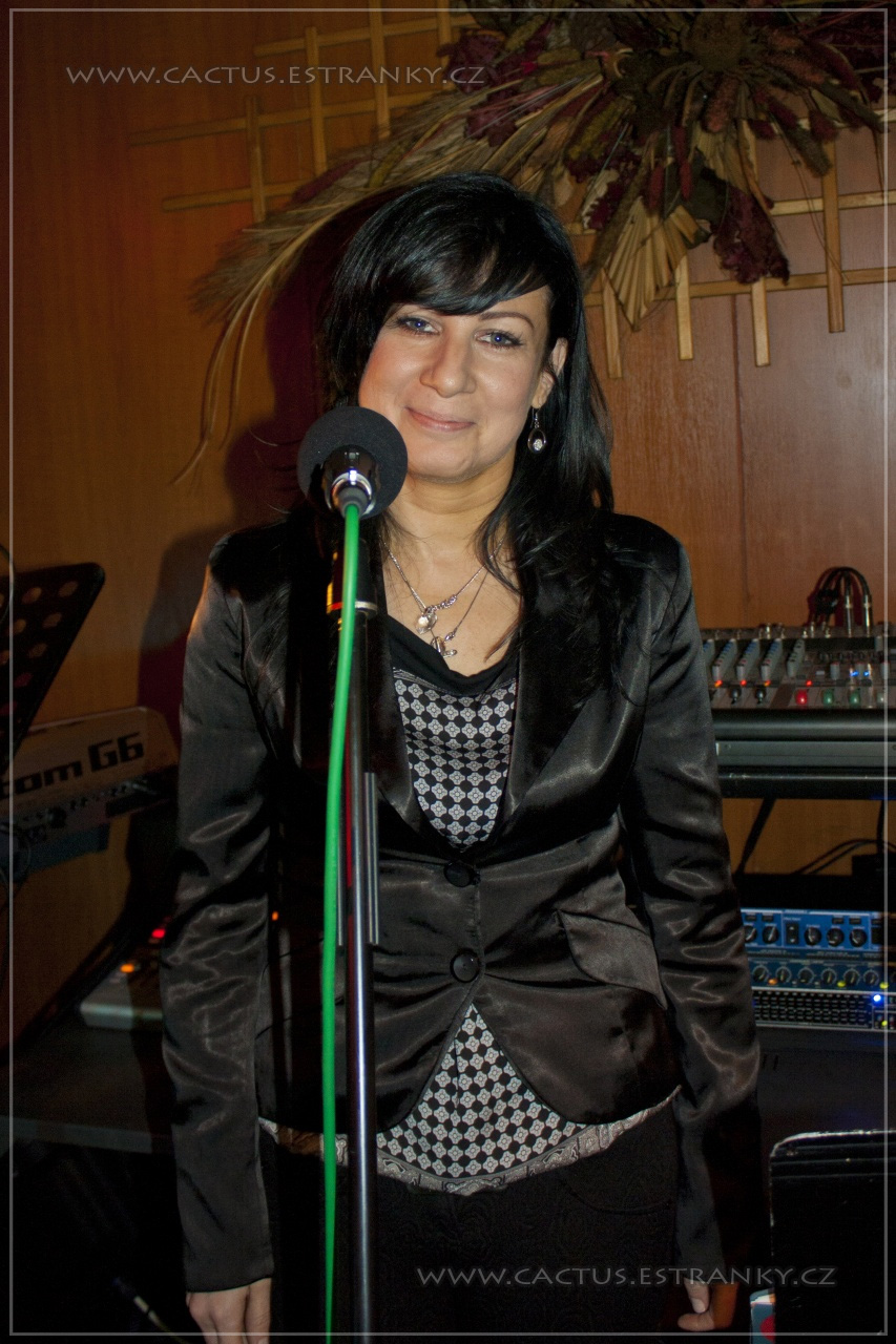Silvestr_012