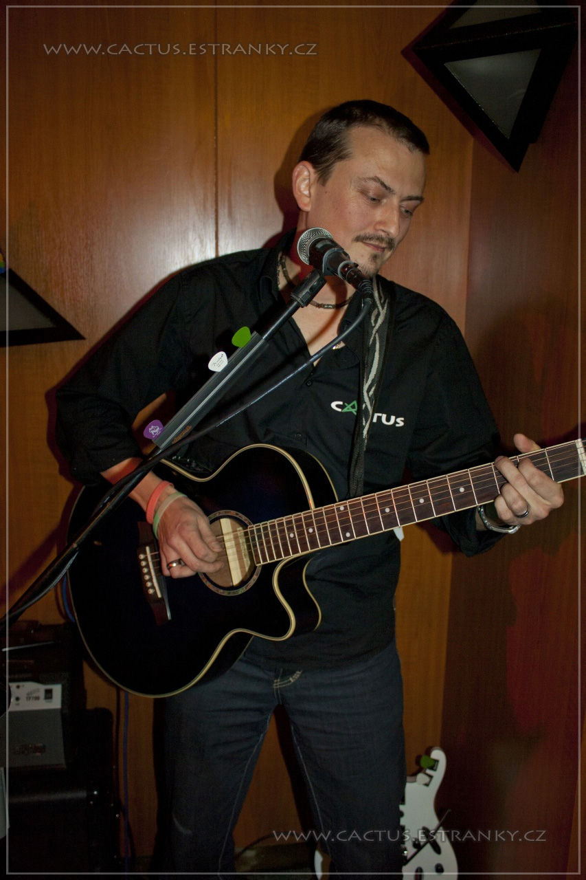 Silvestr_013