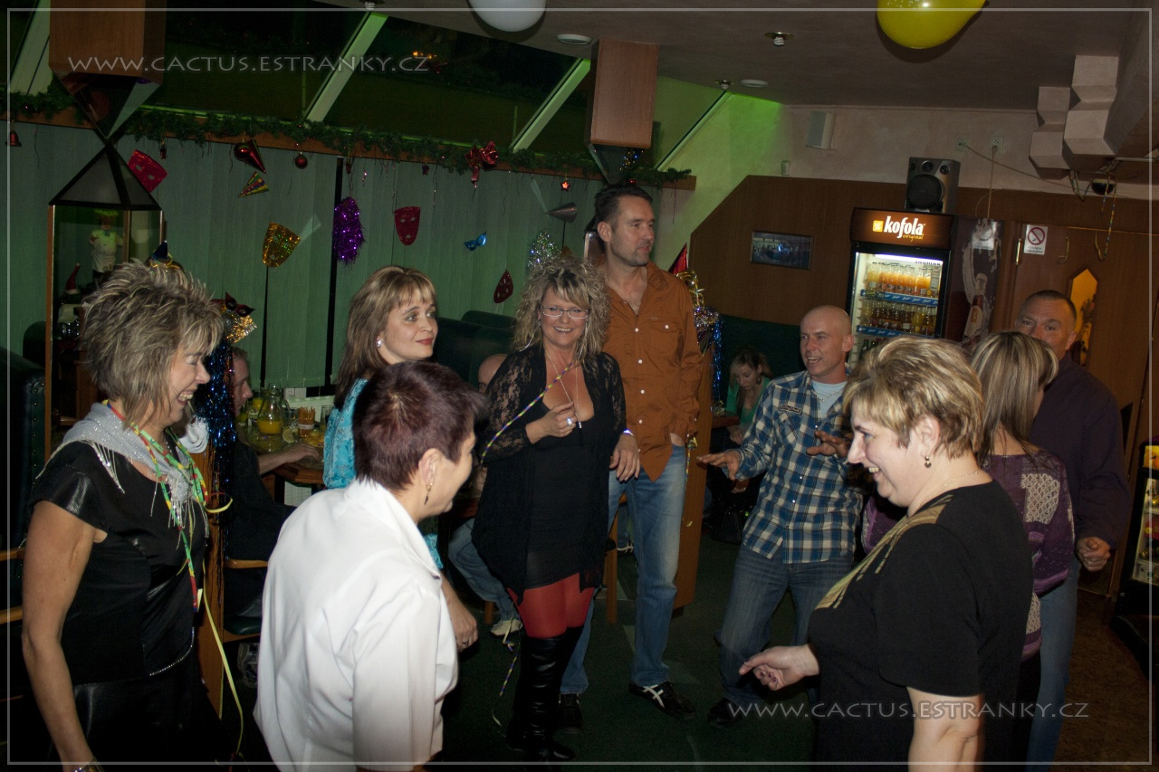 Silvestr_024