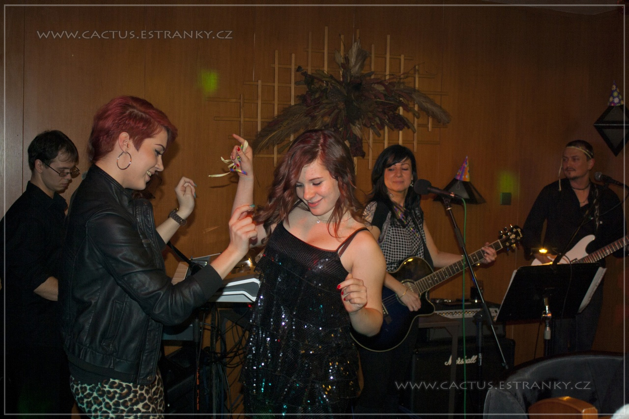 Silvestr_025