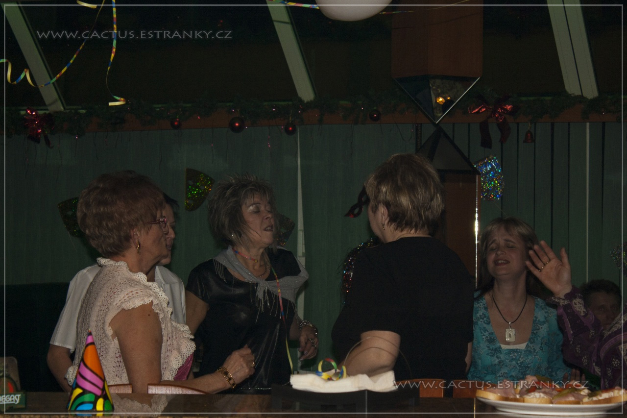 Silvestr_026