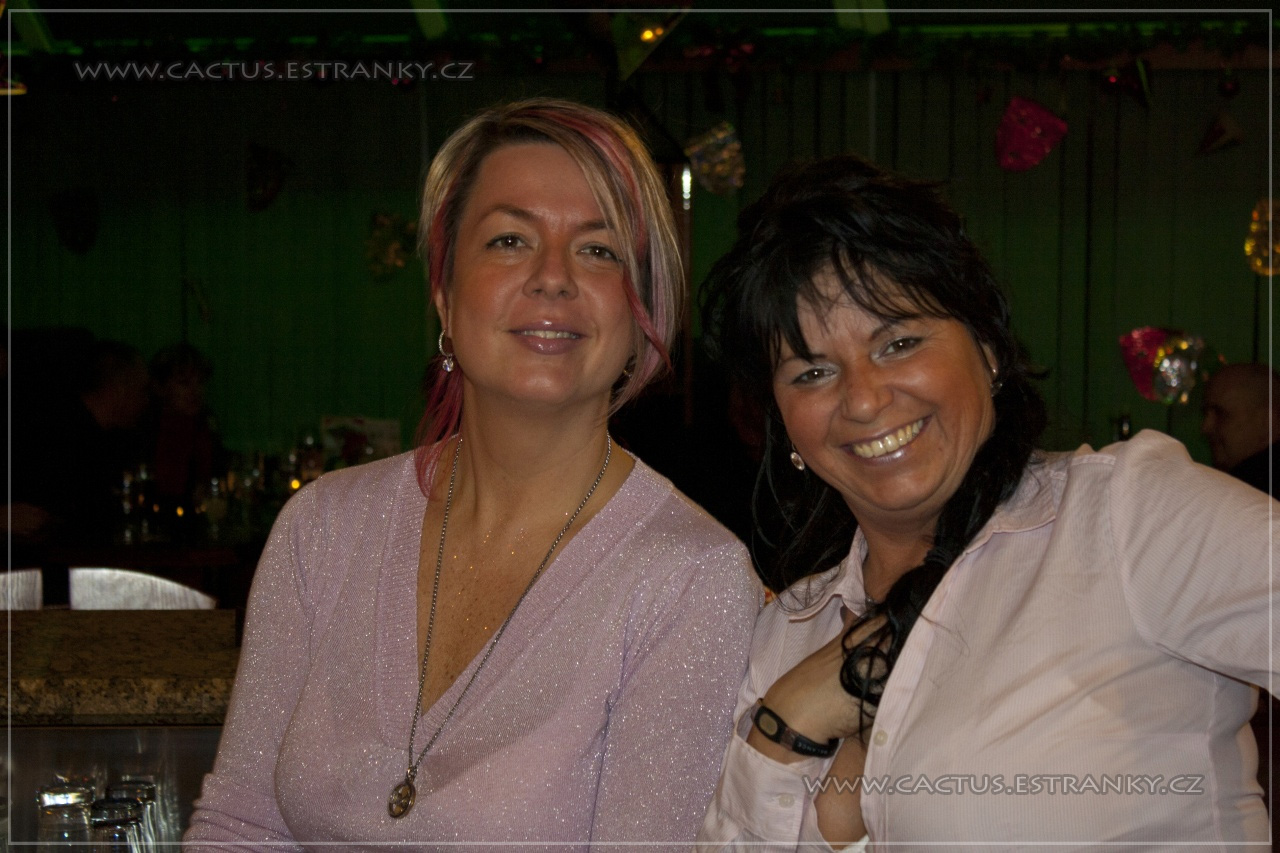 Silvestr_037