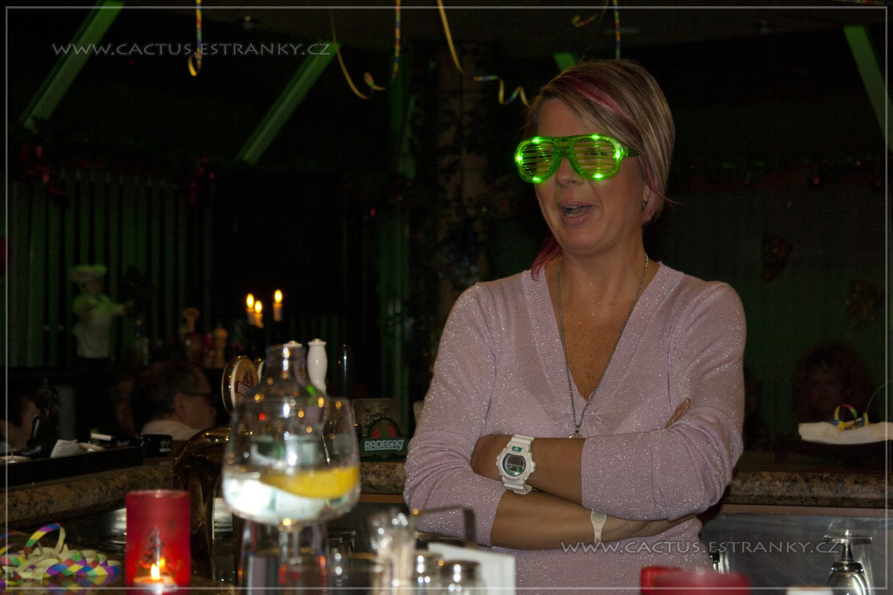 Silvestr_040