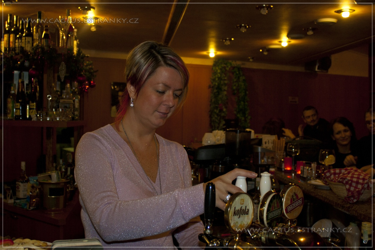 Silvestr_044