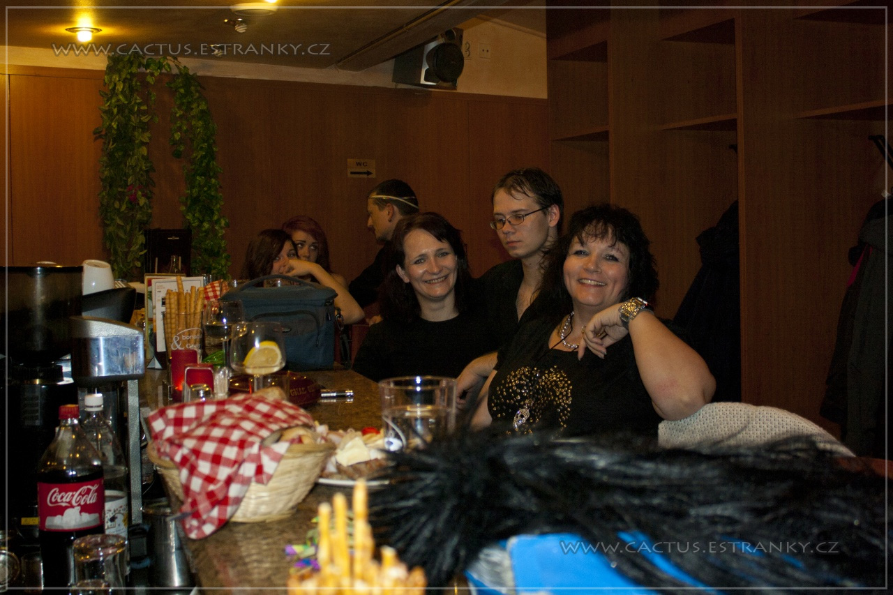 Silvestr_046