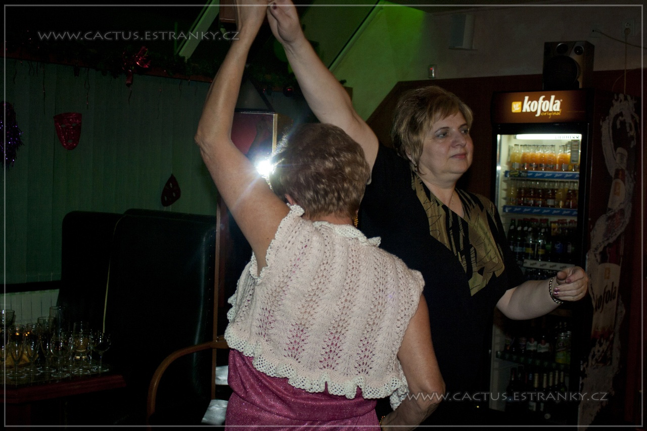 Silvestr_065