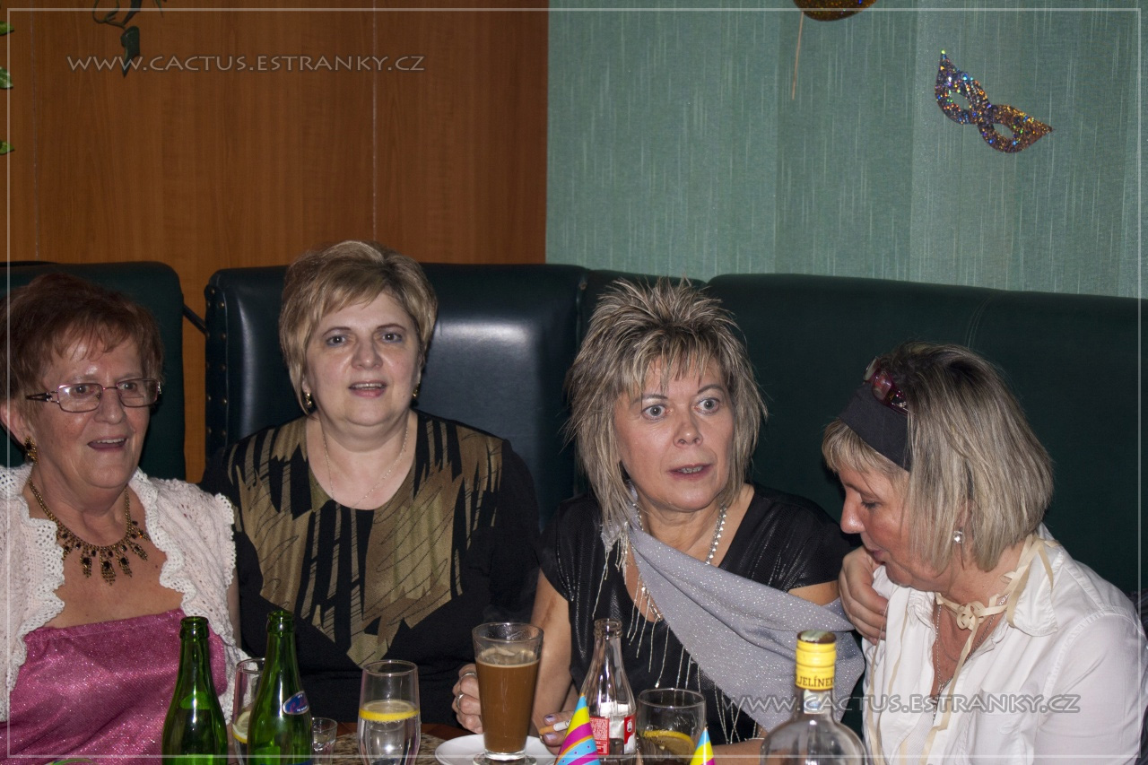Silvestr_069