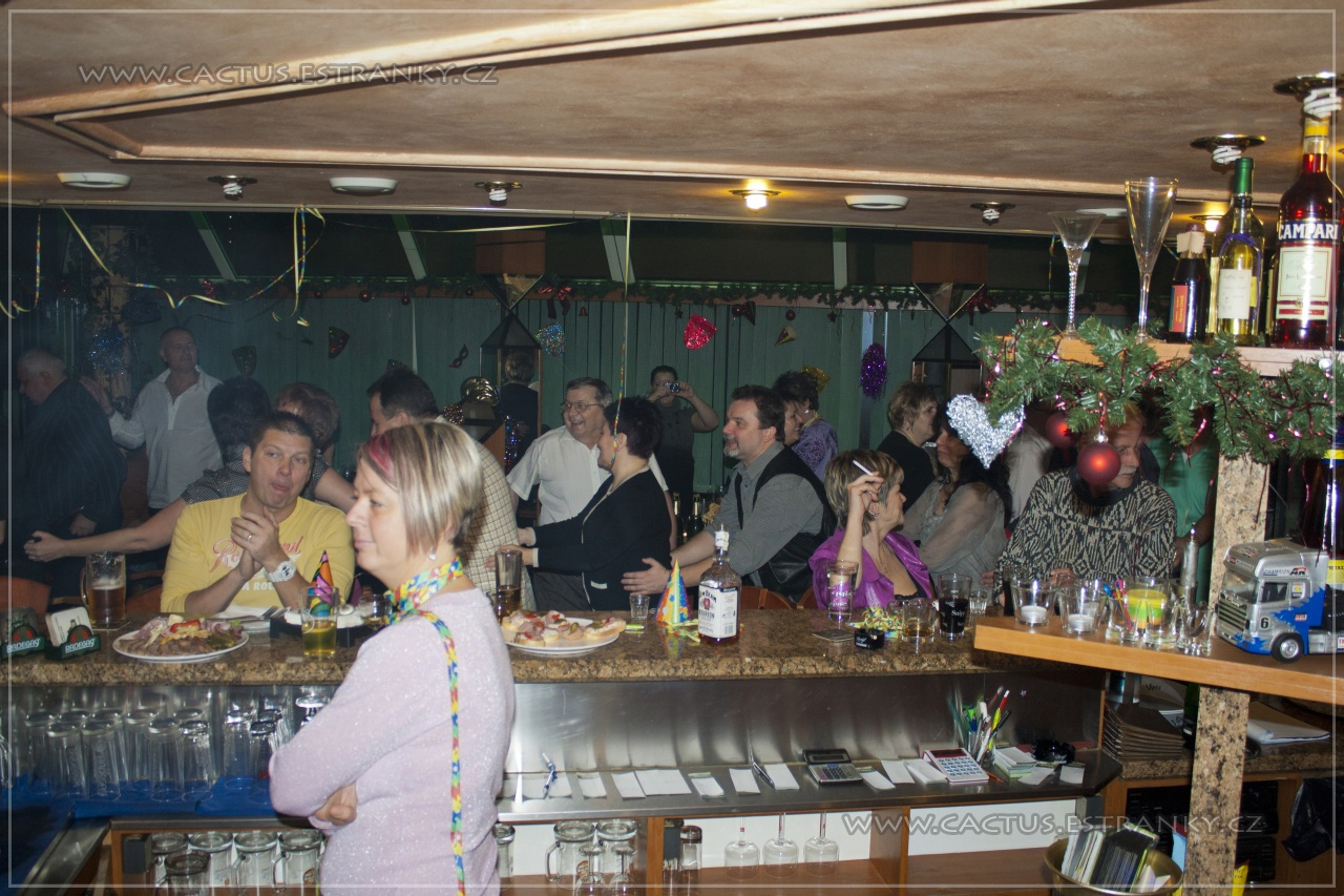 Silvestr_072