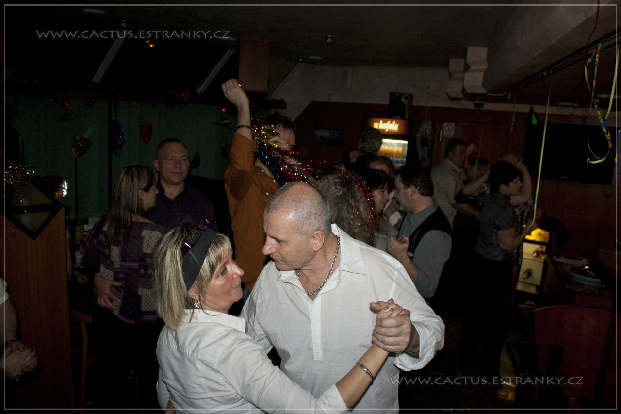 Silvestr_078