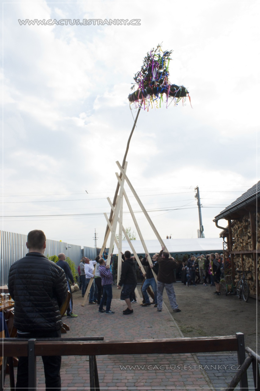 Svidnov_005