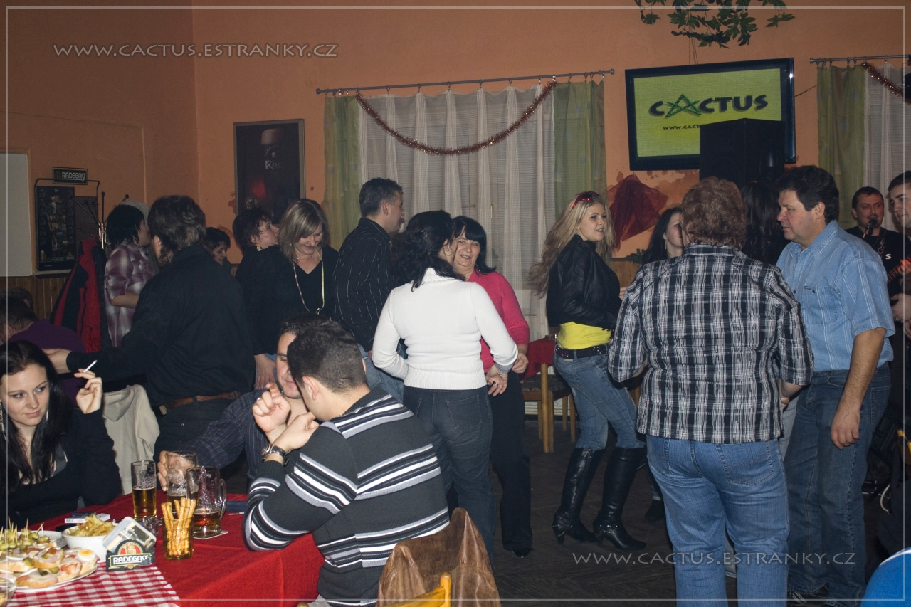 Sobesovice_2010_013